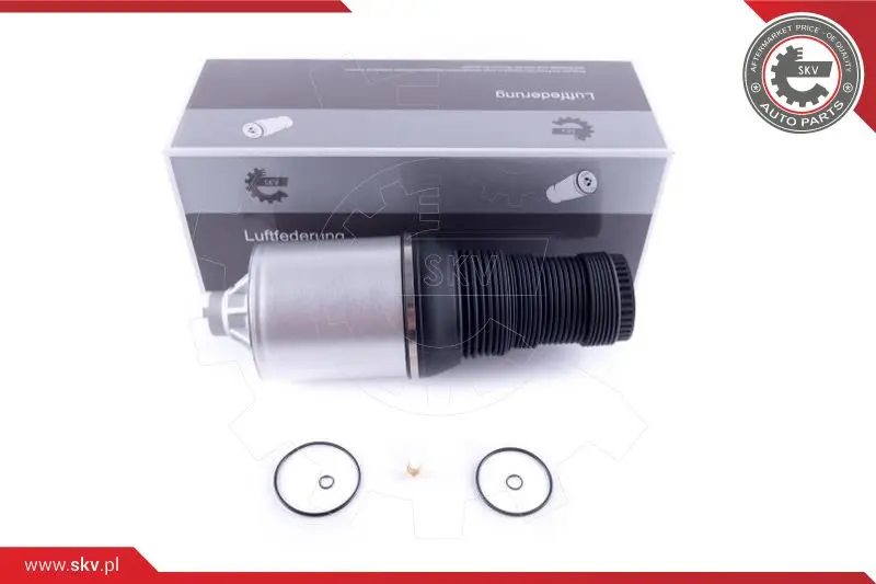 Въздушна възглавница, окачване ESEN SKV            