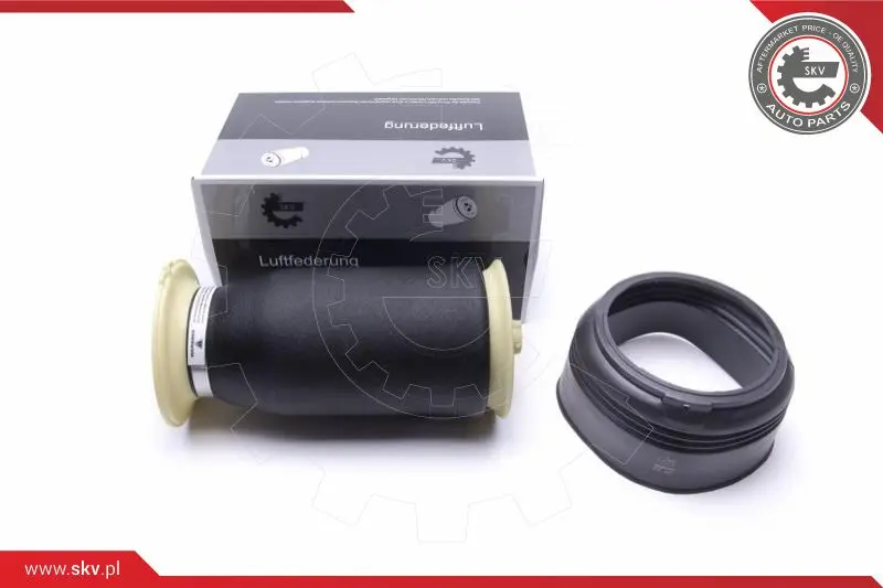 Въздушна възглавница, окачване ESEN SKV            