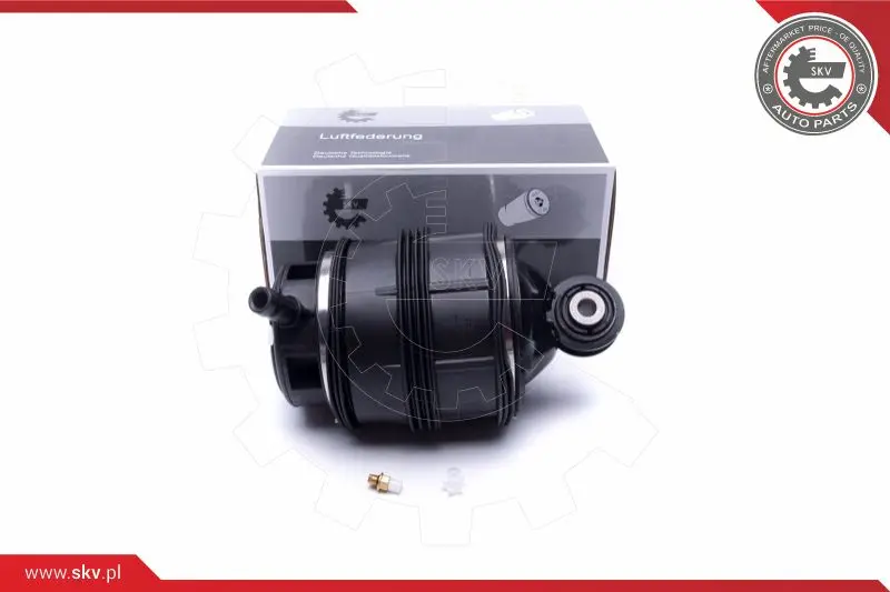 Въздушна възглавница, окачване ESEN SKV            