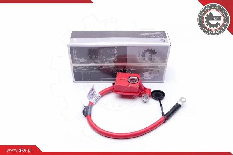 адаптер за акумулаторна батерия ESEN SKV            