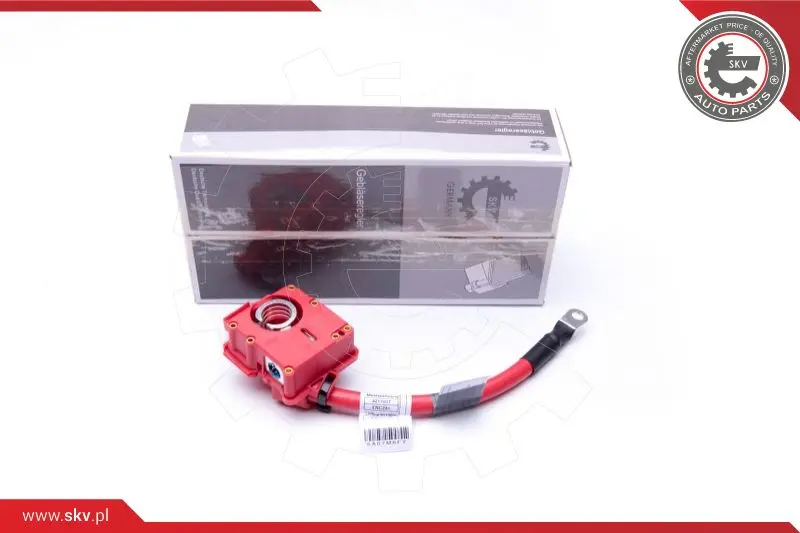 адаптер за акумулаторна батерия ESEN SKV            