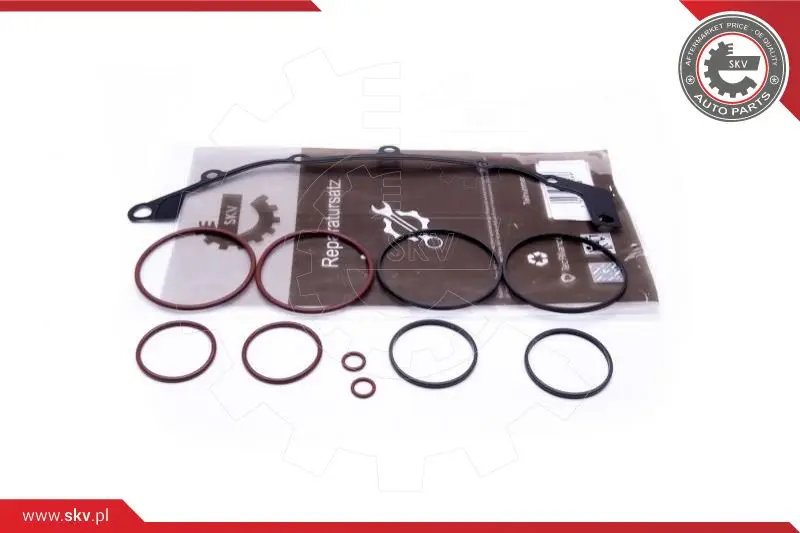 ремонтен комплект, модул всмукателна тръба ESEN SKV            