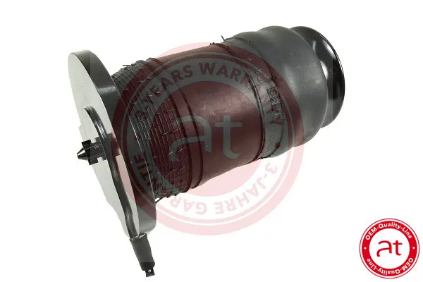 Въздушна възглавница, окачване at autoteile germany