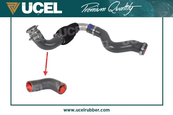5625516prod