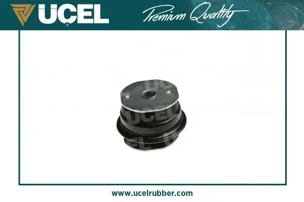 тампони на моста UCEL                