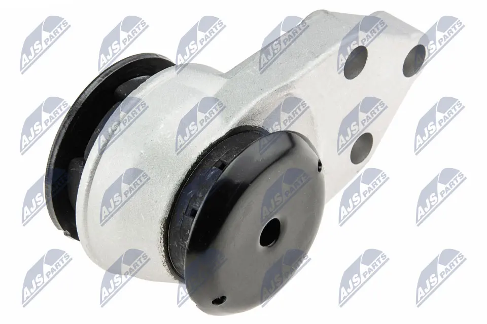 окачване, двигател NTY                 