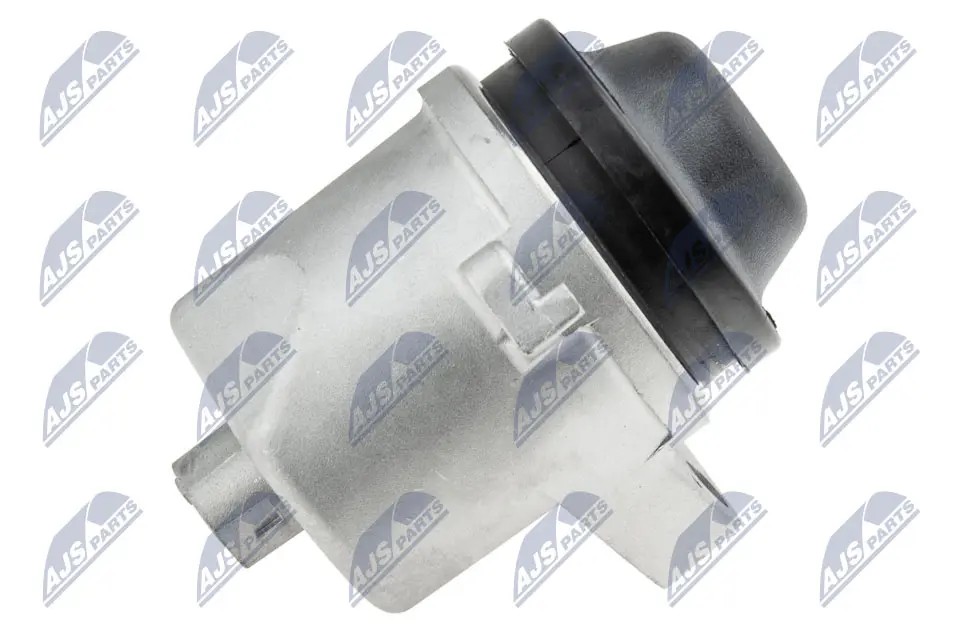 окачване, двигател NTY                 