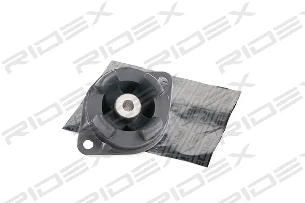 окачване, двигател RIDEX               