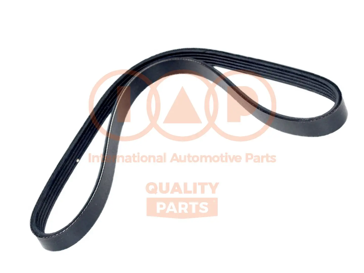 пистов ремък IAP QUALITY PARTS   