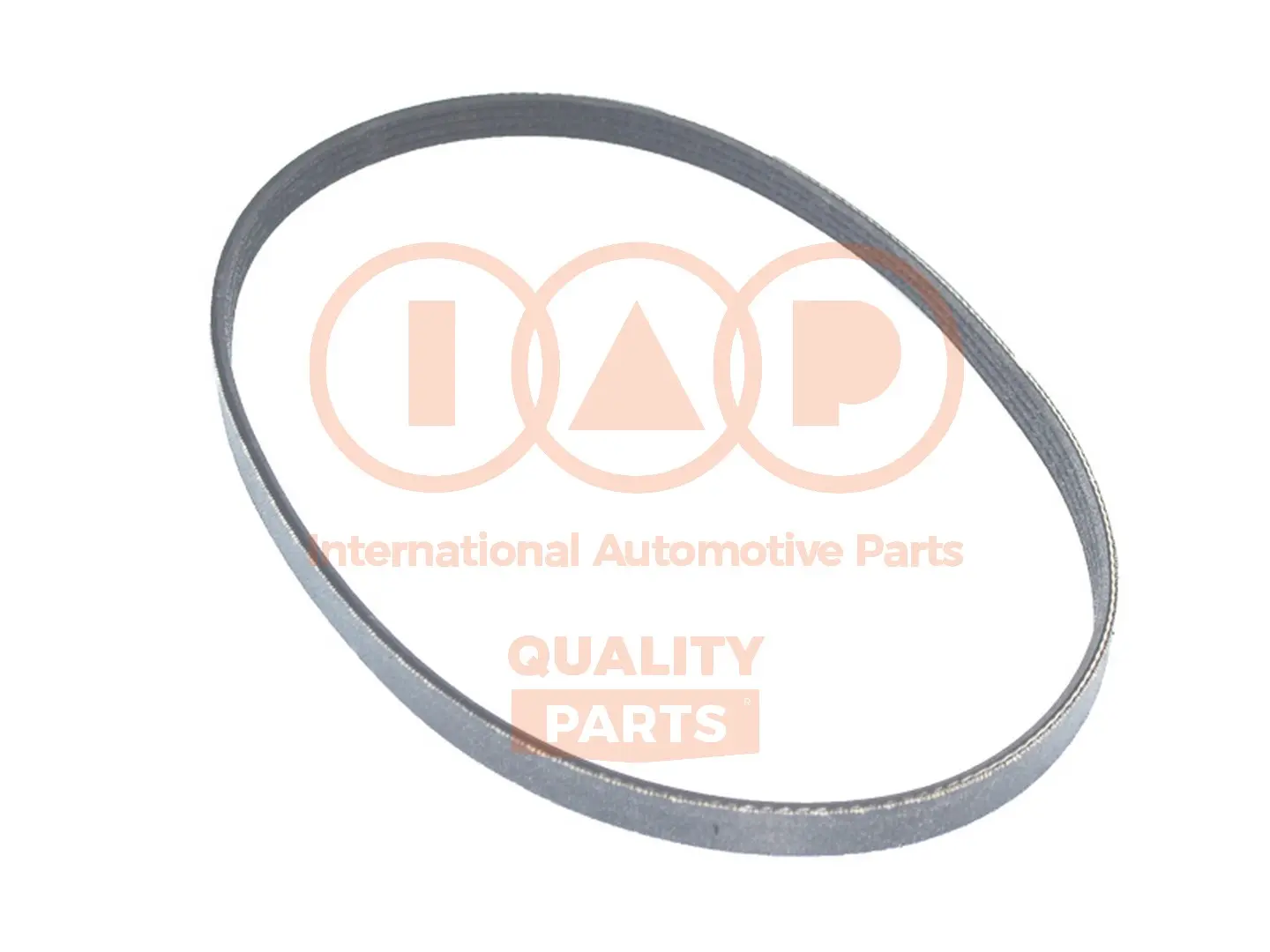 пистов ремък IAP QUALITY PARTS   
