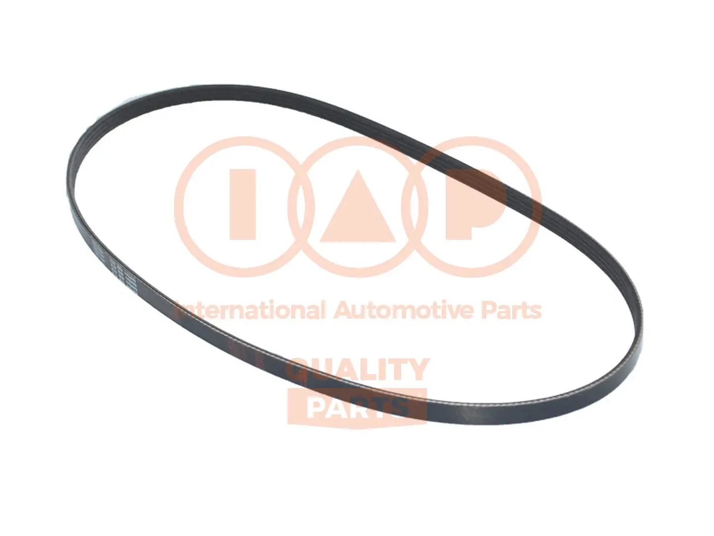пистов ремък IAP QUALITY PARTS   