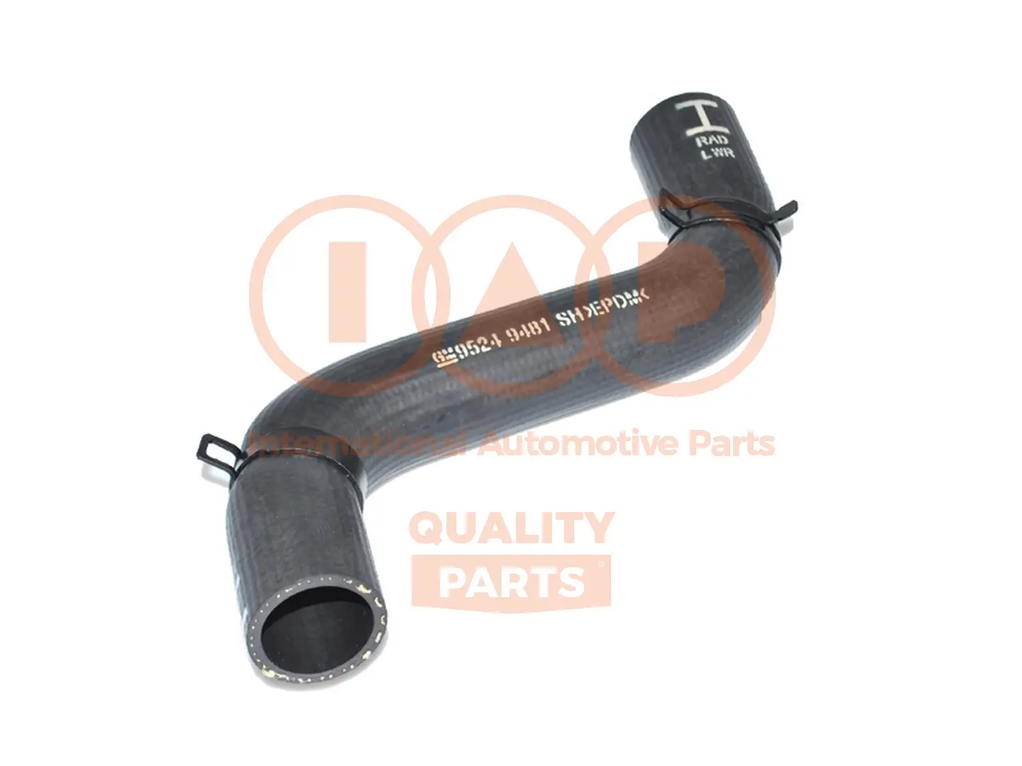 маркуч на радиатора IAP QUALITY PARTS   