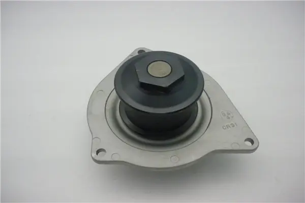 водна помпа, охлаждане на двигателя GMB                 