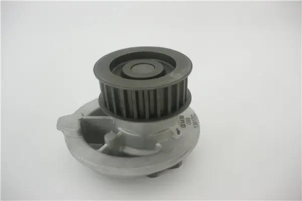 водна помпа, охлаждане на двигателя GMB                 