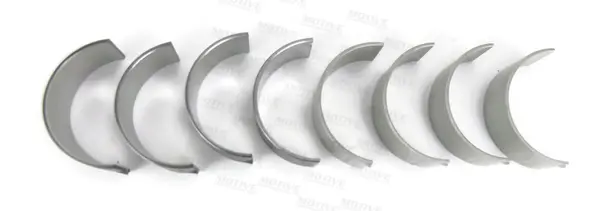 биелен лагер MOTIVE              