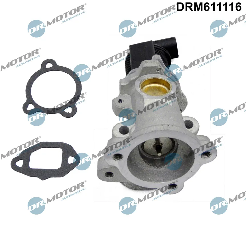 AGR-Клапан Dr.Motor Automotive