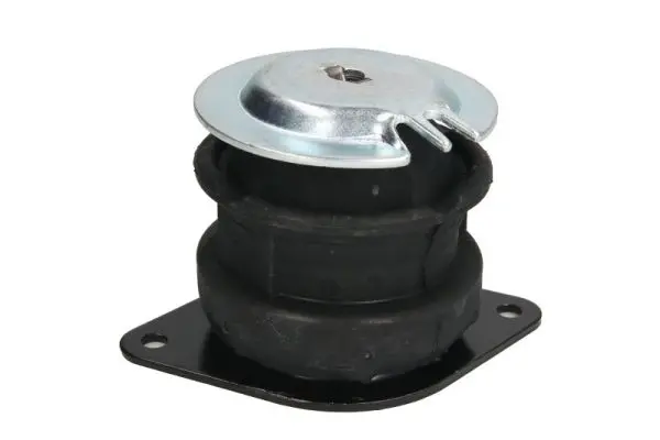 окачване, двигател REINHOCH            