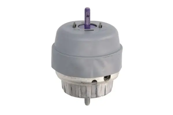 окачване, двигател REINHOCH            