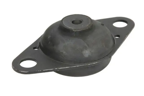 окачване, двигател REINHOCH            