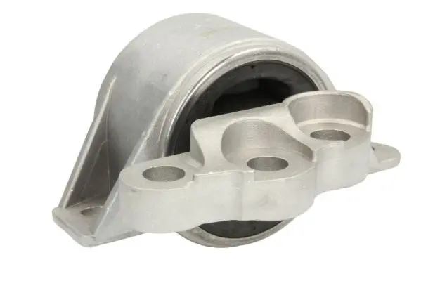 окачване, двигател REINHOCH            