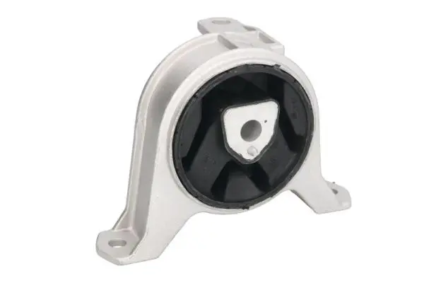 окачване, двигател REINHOCH            