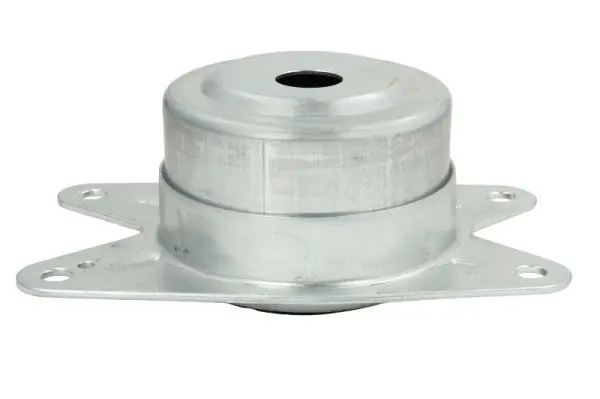 тампон, ръчна скоростна кутия REINHOCH            