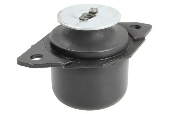 окачване, двигател REINHOCH            