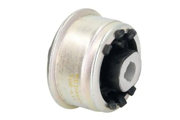 тампон, носач REINHOCH            