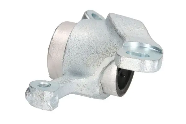 тампон, носач REINHOCH            