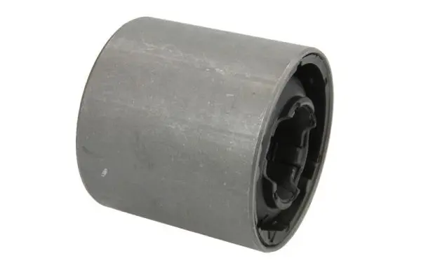 тампон, носач REINHOCH            