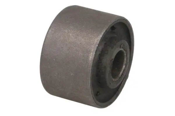 тампон, носач REINHOCH            