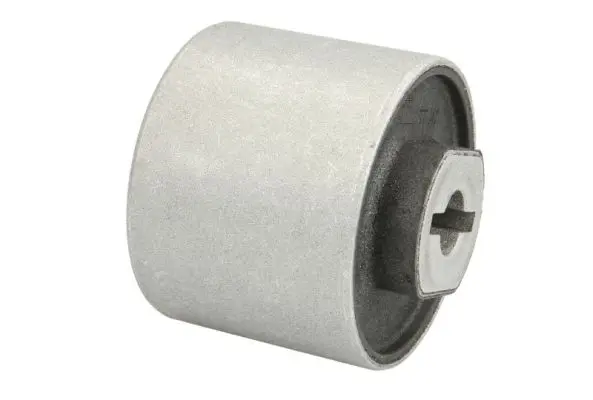 тампон, носач REINHOCH            