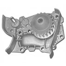 водна помпа, охлаждане на двигателя MTR                 