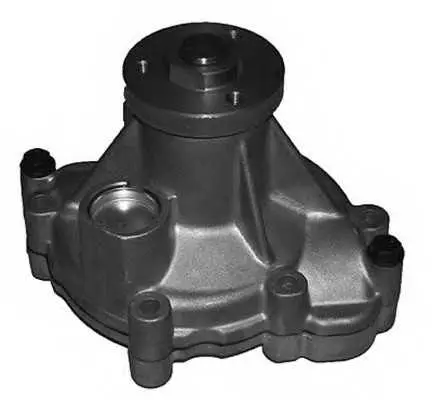 Водна помпа, охлаждане на двигателя MAGNETI MARELLI
