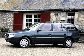 PEUGEOT 405 I Break (15E) 1.6