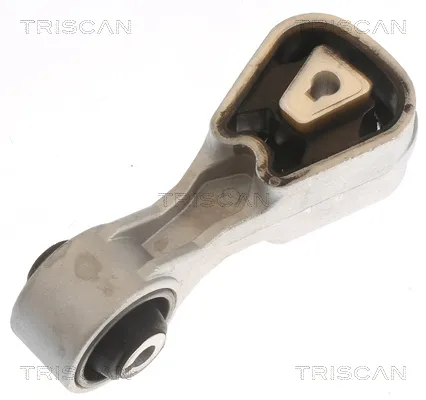 Окачване, двигател TRISCAN