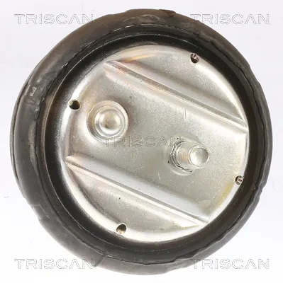 Окачване, двигател TRISCAN