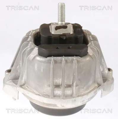 Окачване, двигател TRISCAN
