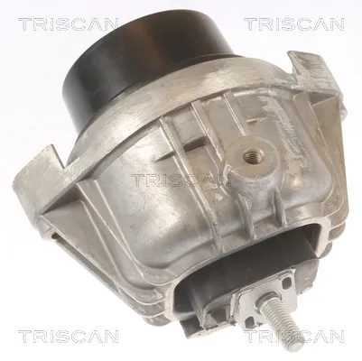 Окачване, двигател TRISCAN