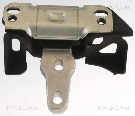 Окачване, двигател TRISCAN