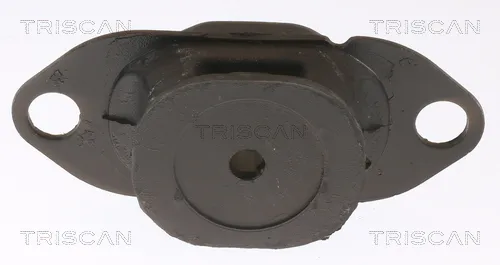 Окачване, двигател TRISCAN