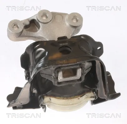 Окачване, двигател TRISCAN