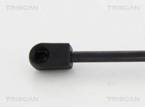 Газов амортисьор, багажно товарно пространство TRISCAN