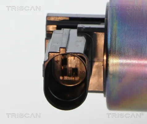 AGR-Клапан TRISCAN